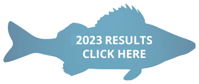 2023 Results